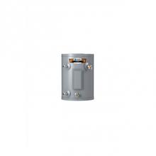 State Water Heaters 100302149 - ProLine 20-Gallon Specialty Compact Electric Water Heater