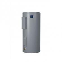 State Water Heaters 100351858 - Patriot Light Duty