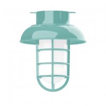 Montclair Light Works FMC060-48 - 8" Vaportite flush mount ceiling light, Sea Green