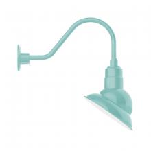 Montclair Light Works GNA120-48 - 10" Emblem shade gooseneck wall mount, Sea Green