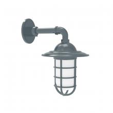 Montclair Light Works GNM052-40 - Vaportite, Style A shade, single wall mount with clear glass and cast guard, Slate Gray