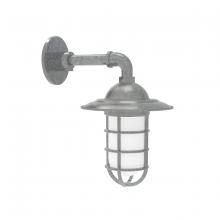 Montclair Light Works GNM052-49 - Vaportite, Style A shade, single wall mount with clear glass and cast guard, Painted Galvanized
