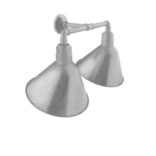 Montclair Light Works GNR104-49 - Angle 14" 2-Light Straight Arm Wall Light in Painted Galvanized