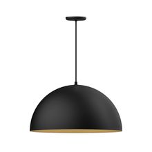 Montclair Light Works PEB229-41-75-C21 - 24" XL Choices Shallow Dome Shade, medium base, white cord w/ canopy, Black w/ Gold Matte Interi