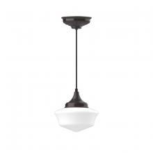 Montclair Light Works PEF021-51-C21 - 12" Schoolhouse glass, white cord with canopy, Architectural Bronze