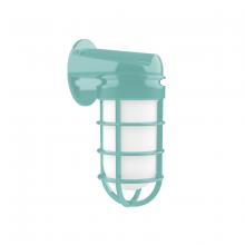 Montclair Light Works SCW050-48 - Vaportite, wall light, Sea Green