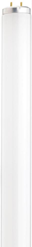 20 Watt; T12; Fluorescent; 6500K Daylight; 76 CRI; Medium Bi Pin base; Shatter Proof
