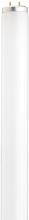 Satco Products Inc. S6562/TF - 15 Watt; T12; Fluorescent; 4100K Cool White; 62 CRI; Medium Bi Pin base; Shatter Proof