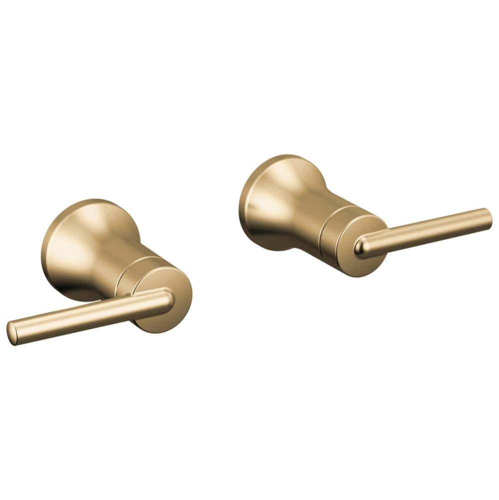 Trinsic&#xae; Lever Handle -Wall Mount Lav