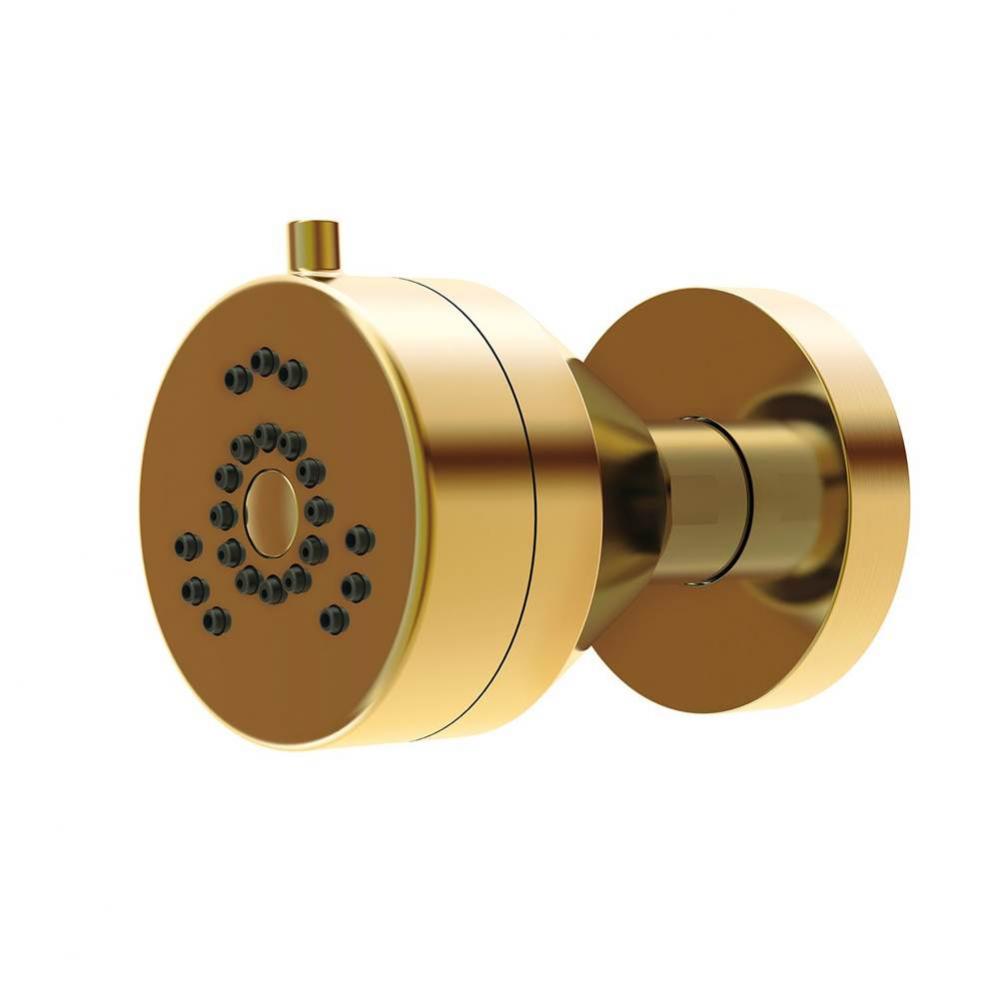 Parma 2 Function Wall Mount Body Spray 1.5gpm Brushed Bronze