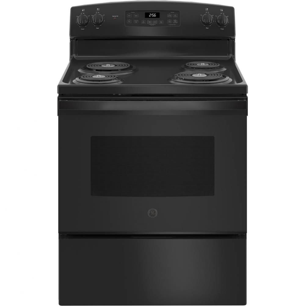 GE 30&apos;&apos; Free-Standing Electric Range