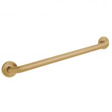 Speakman SA-1009-24-BBZ - Speakman Neo ADA Grab Bar