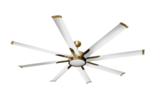 Ceiling Fans with Light